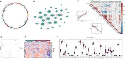 T-cell exhaustion-related genes in Graves’ disease: a comprehensive genome mapping analysis